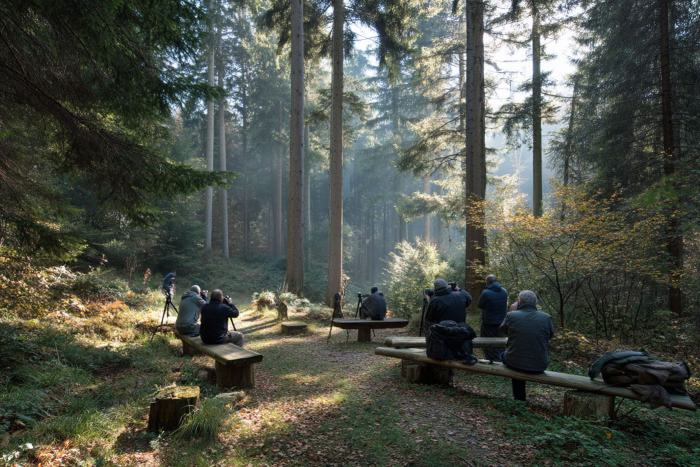 outdoor-workshop-im-schwarzwald-web